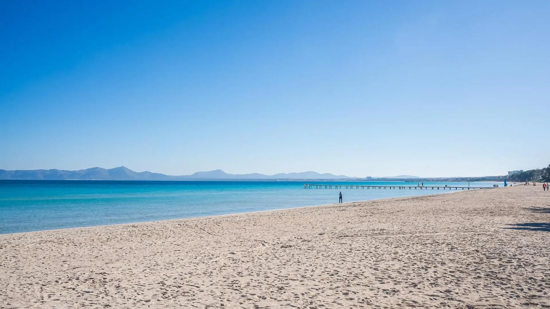 Apartamento Playa Planta Baja 2-2 アルクディア スペイン